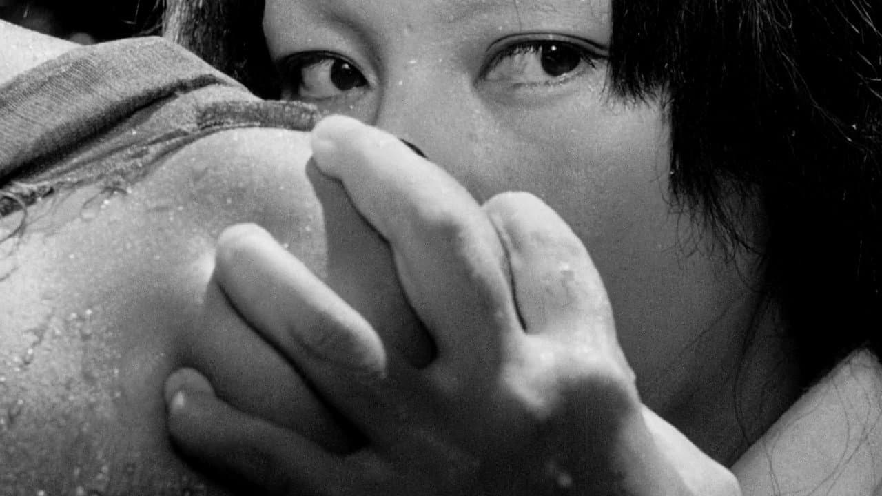 Rashomon — backdrops 8