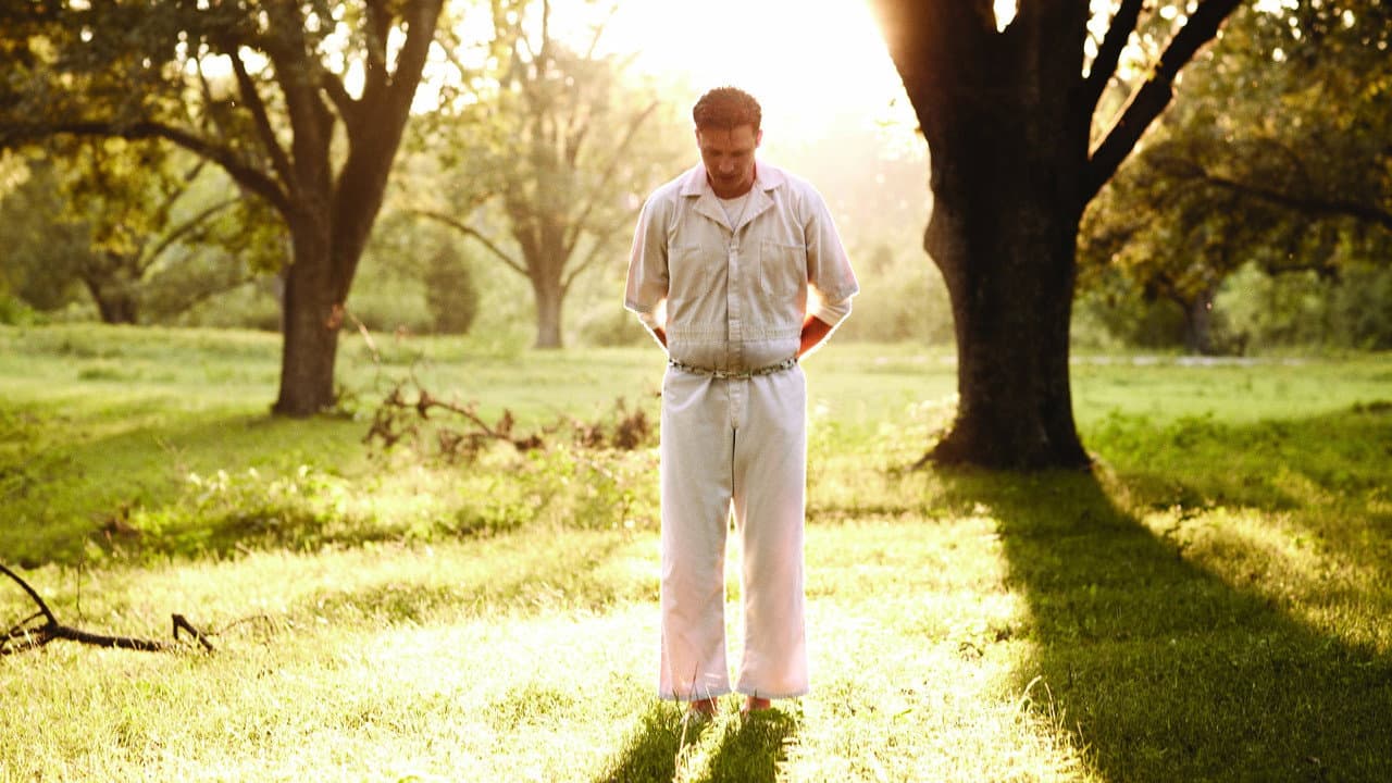 Rectify — backdrops 8