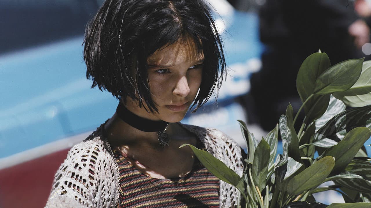 Léon: The Professional — backdrops 3