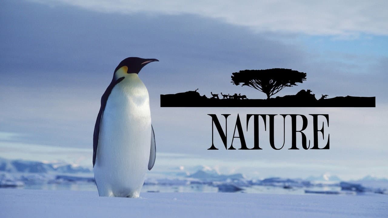 Nature — backdrops with title 6