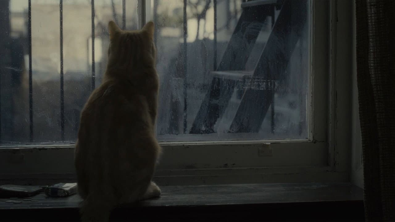Inside Llewyn Davis — backdrops 5