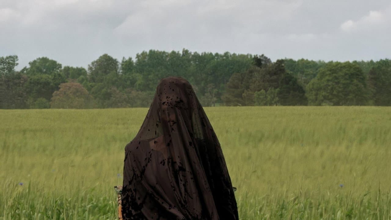 The Woman in the Yard — backdrops 8
