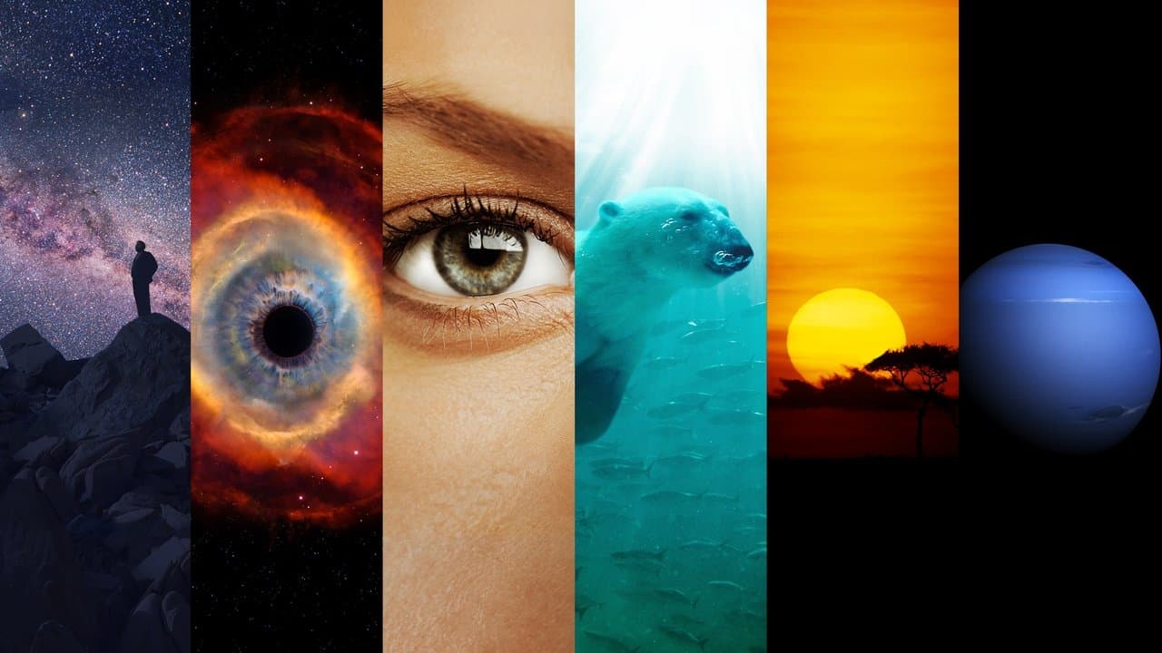 Cosmos — backdrops 1