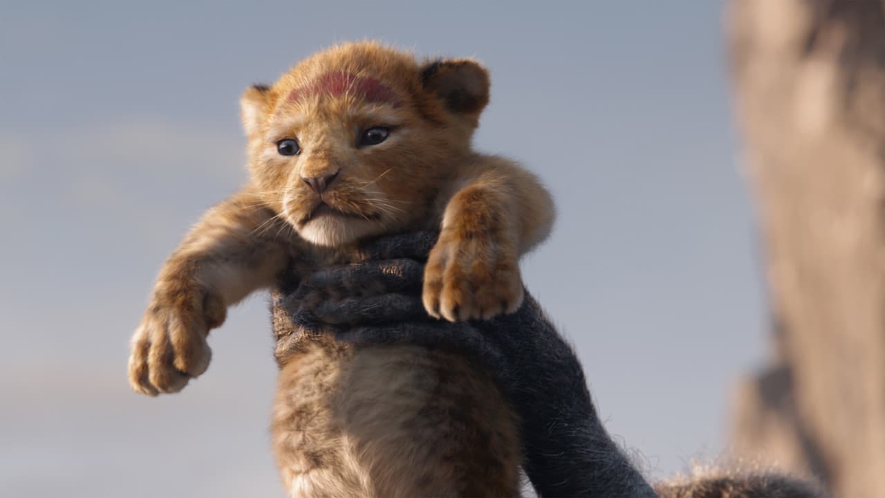 The Lion King — backdrops 6