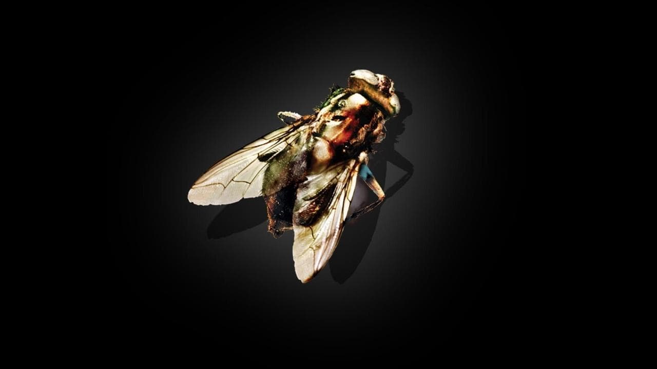 The Fly — backdrops 3
