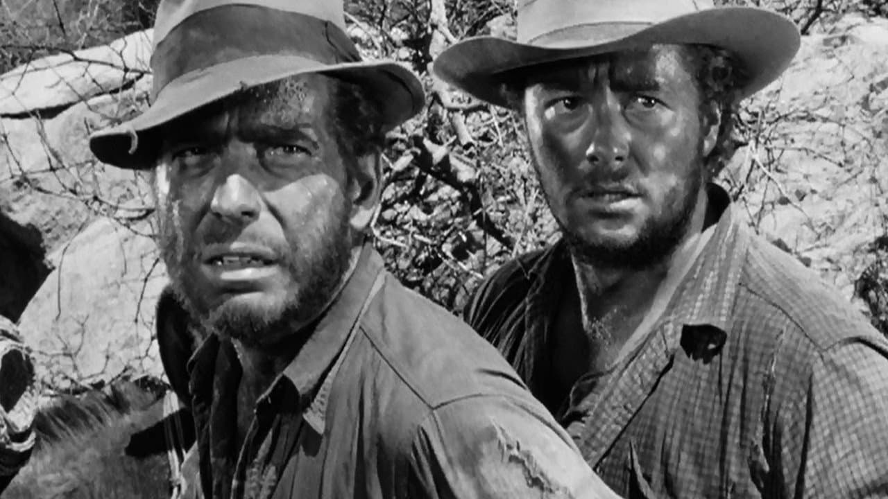 The Treasure of the Sierra Madre — backdrops 6