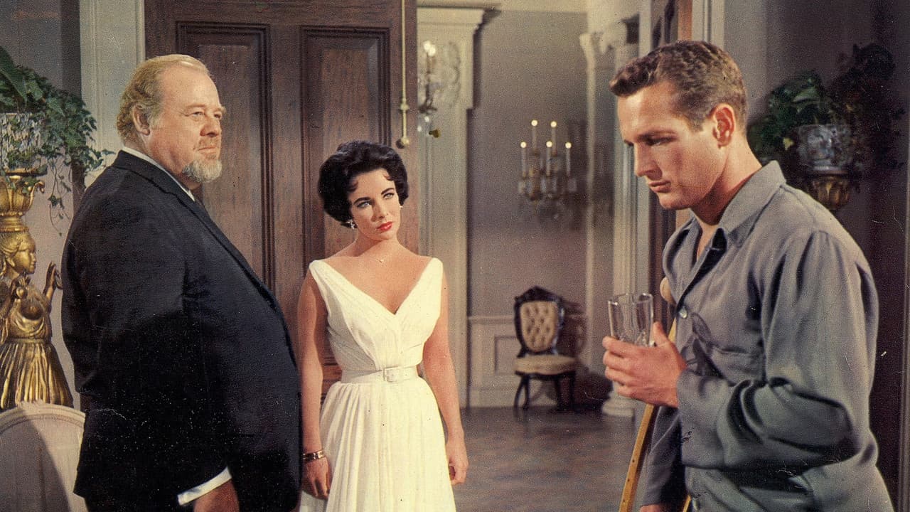 Cat on a Hot Tin Roof — backdrops 3