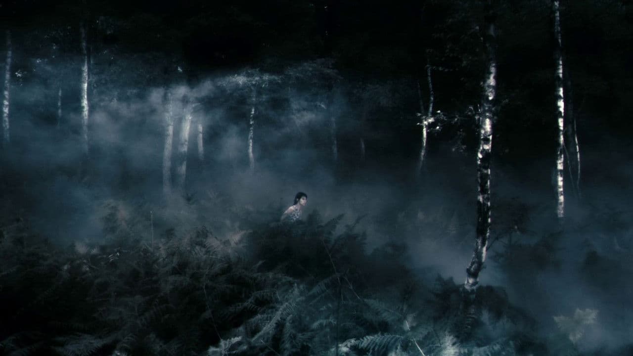 Antichrist — backdrops 7