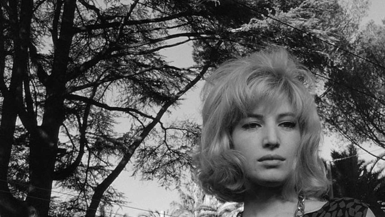 L'Eclisse — backdrops 3
