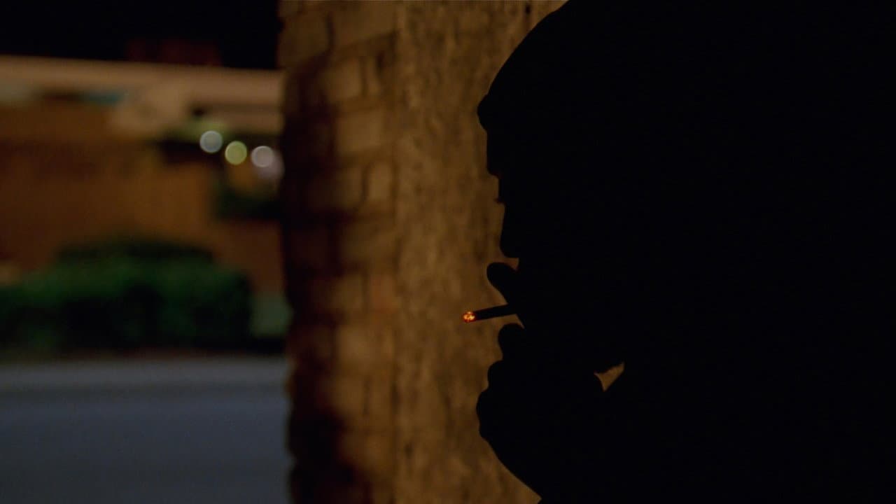 The Wire — backdrops 8