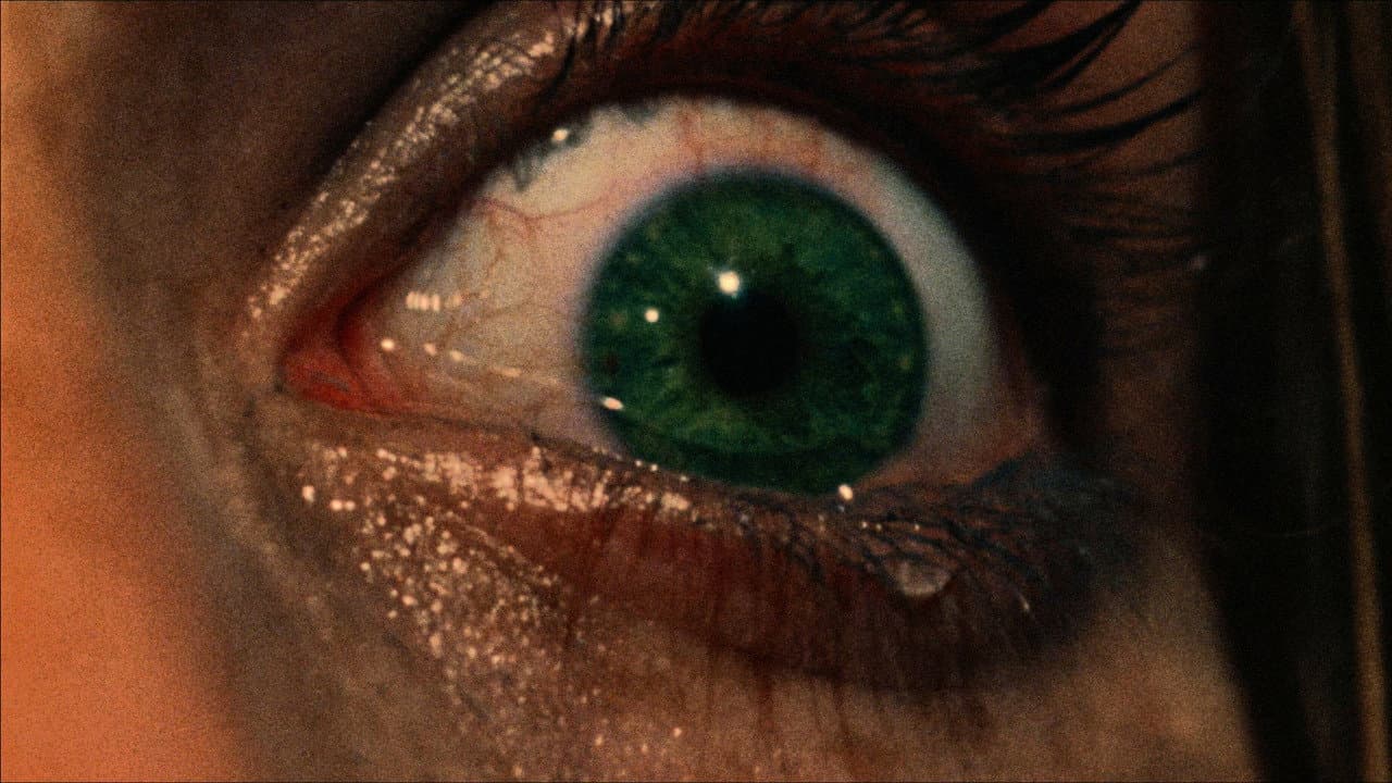 The Texas Chain Saw Massacre — backdrops 7