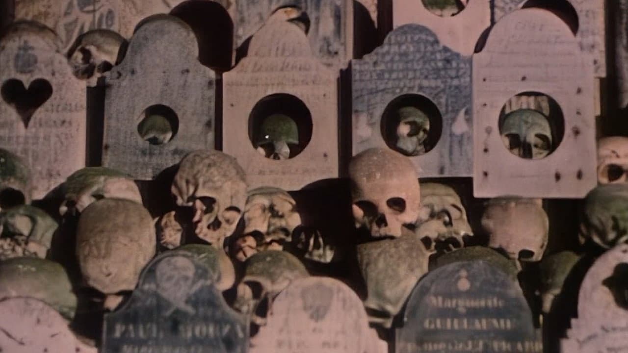 Faces of Death II — backdrops 1