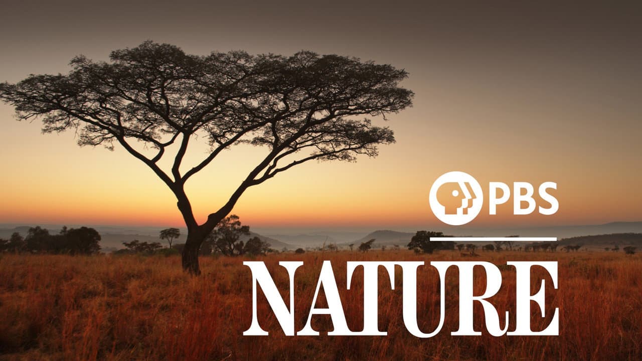 Nature — backdrops with title 1