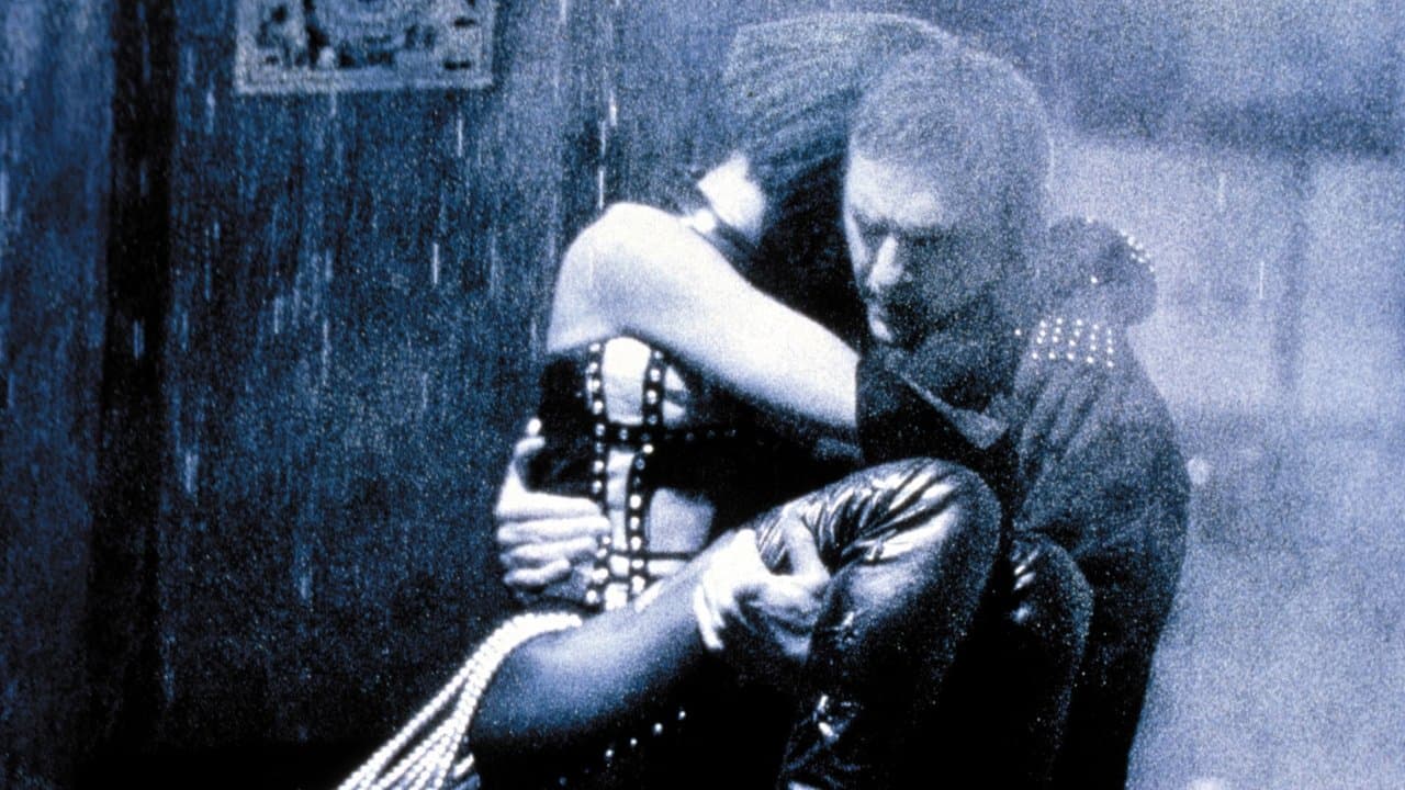The Bodyguard — backdrops 3