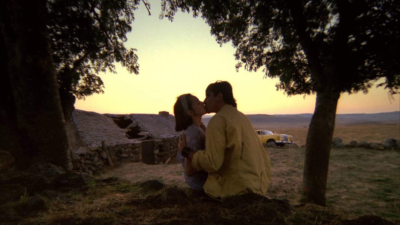 Betty Blue — backdrops 5