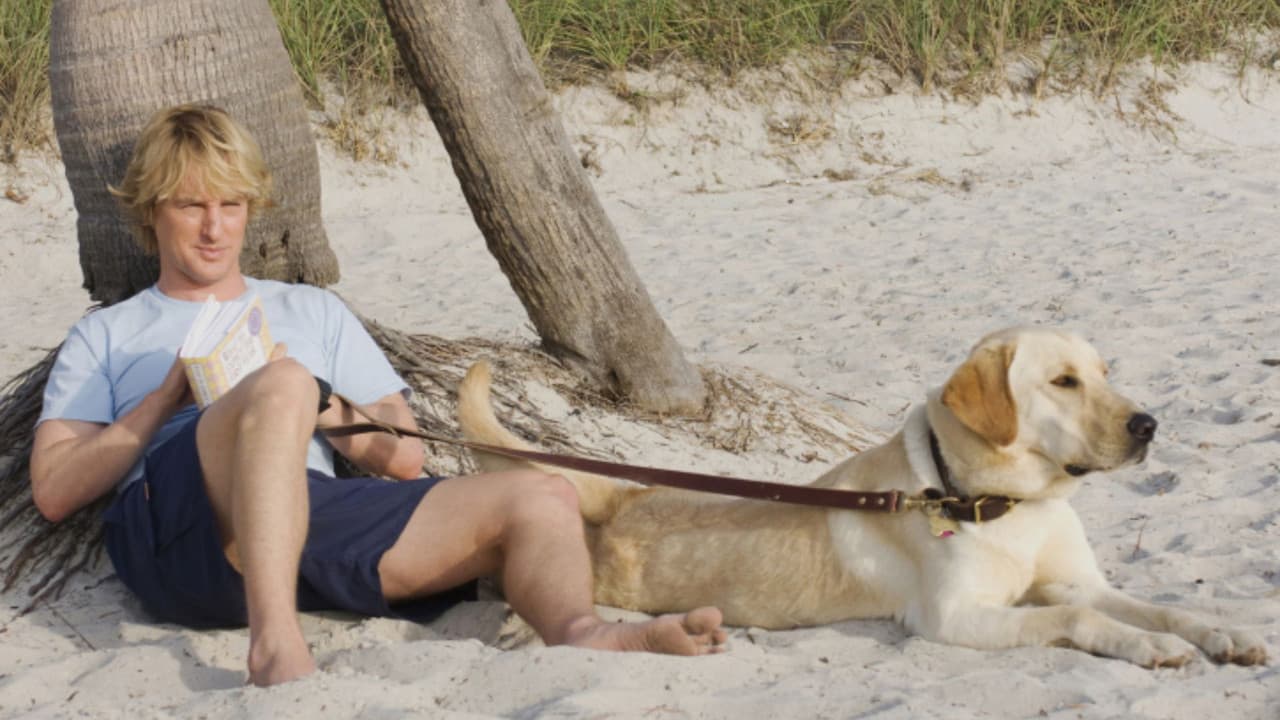 Marley & Me — backdrops 6