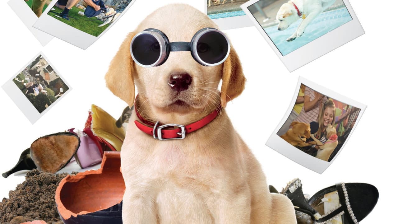 Marley & Me: The Puppy Years — backdrops 1