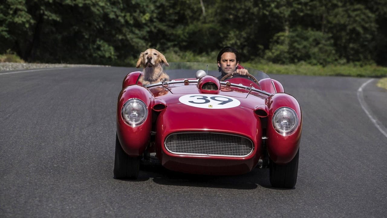The Art of Racing in the Rain — backdrops 3