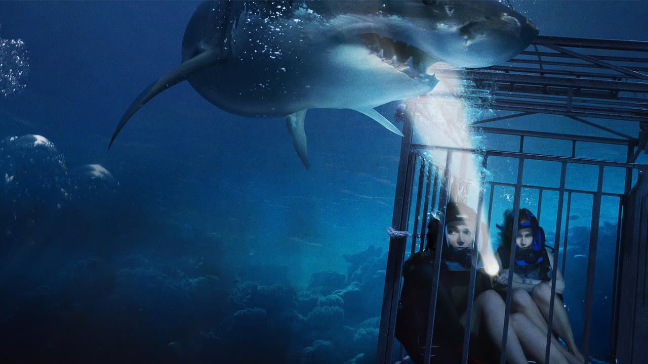 47 Meters Down — backdrops 2