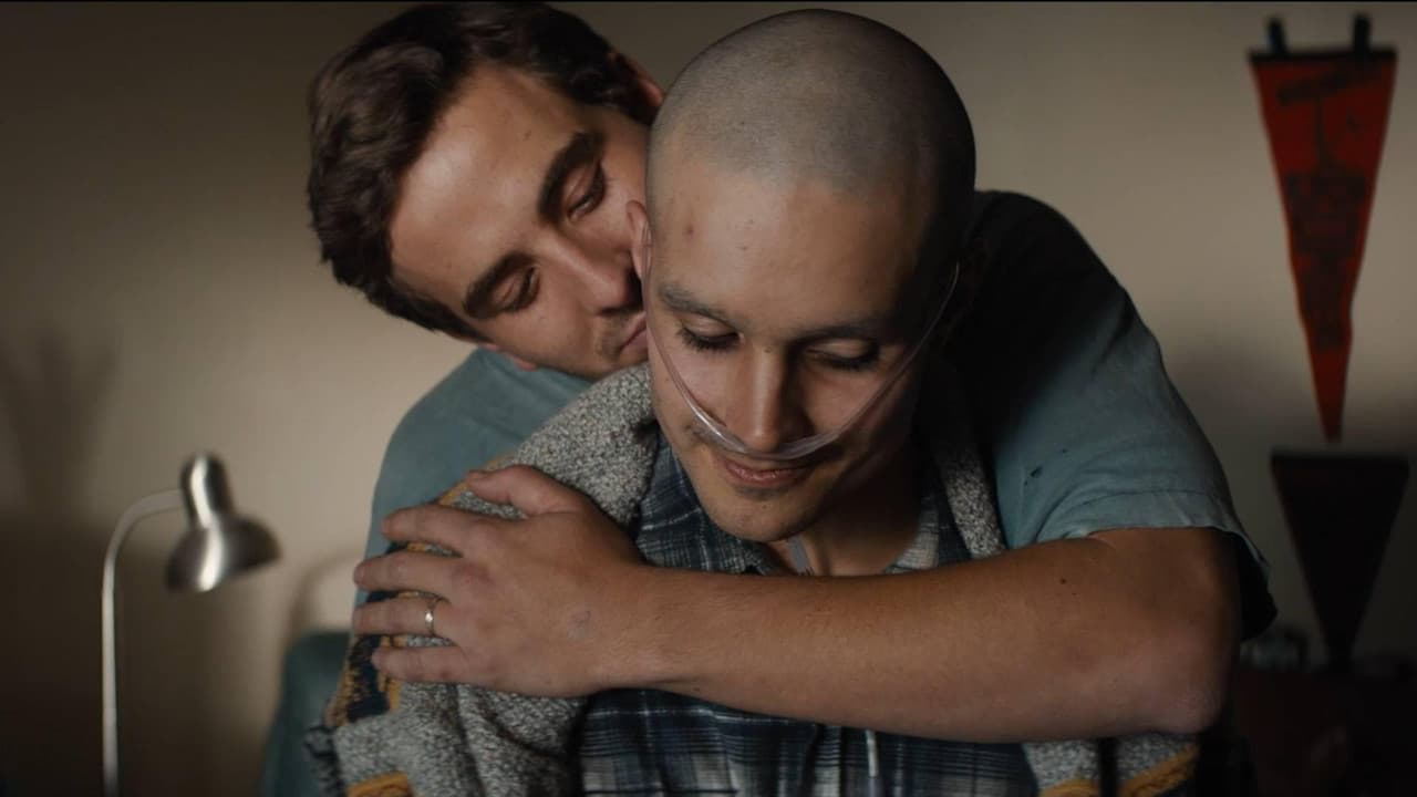 Holding the Man — backdrops 2