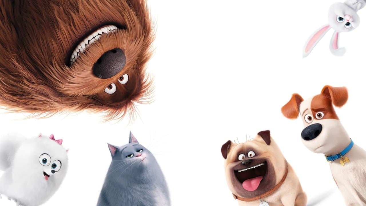 The Secret Life of Pets — backdrops 2