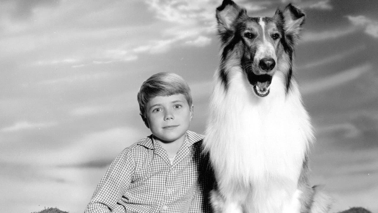 Lassie — backdrops 2