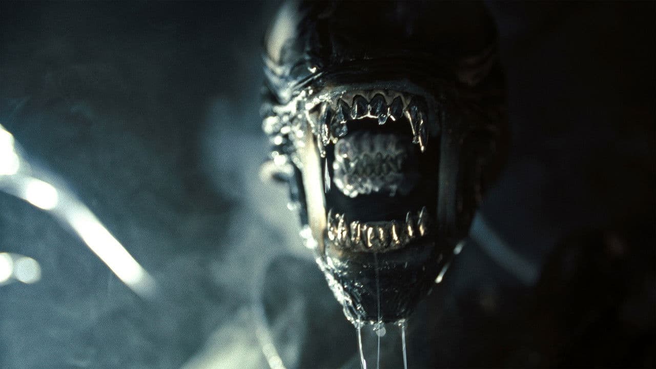 Alien: Romulus — backdrops 3