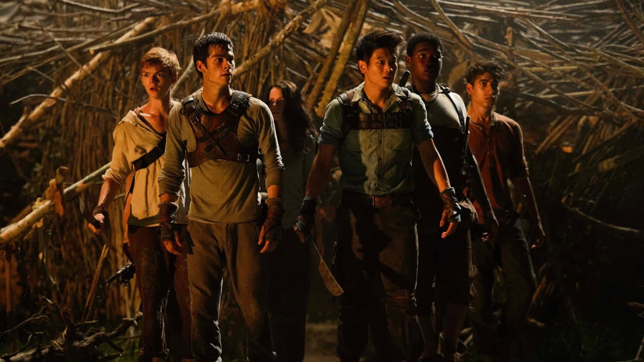 The Maze Runner — backdrops 8