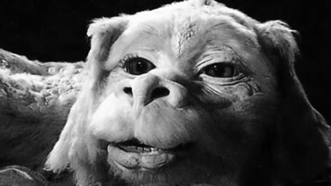 The NeverEnding Story III — backdrops 4