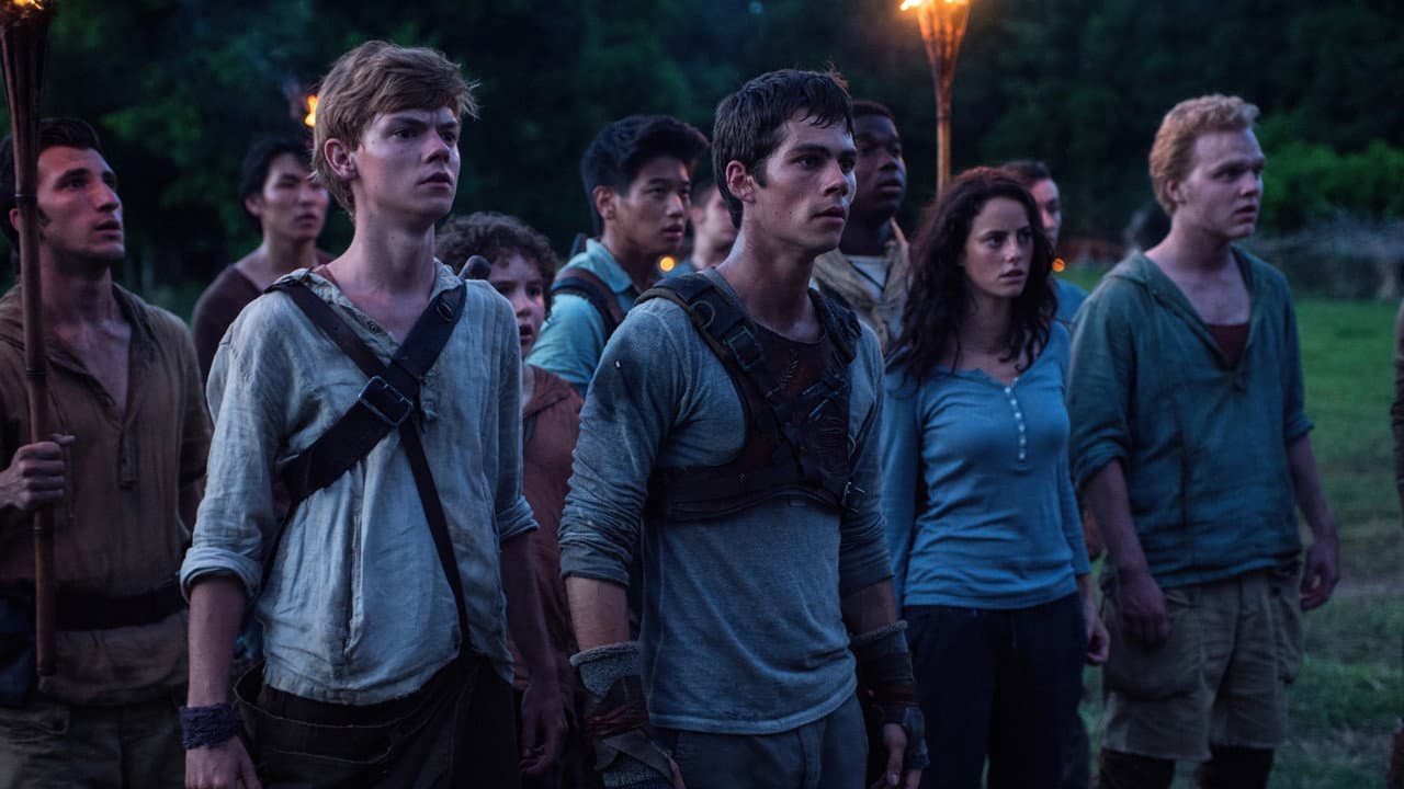 The Maze Runner — backdrops 6
