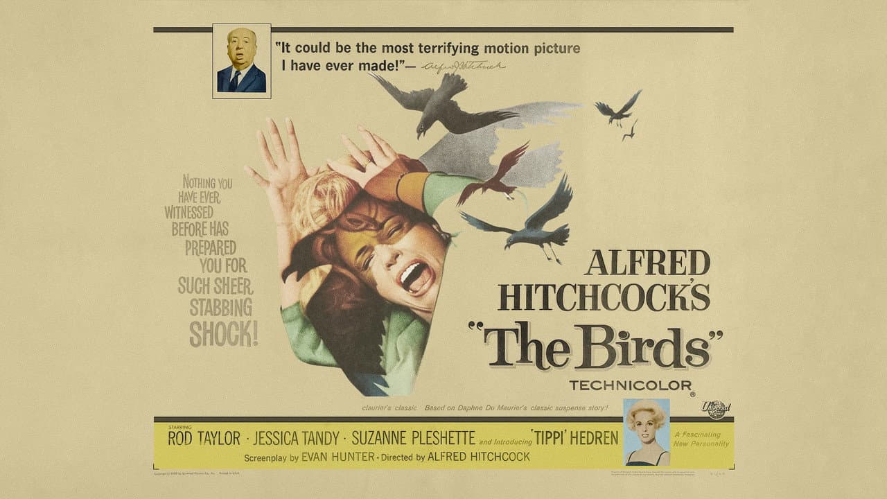 The Birds — backdrops with title 6