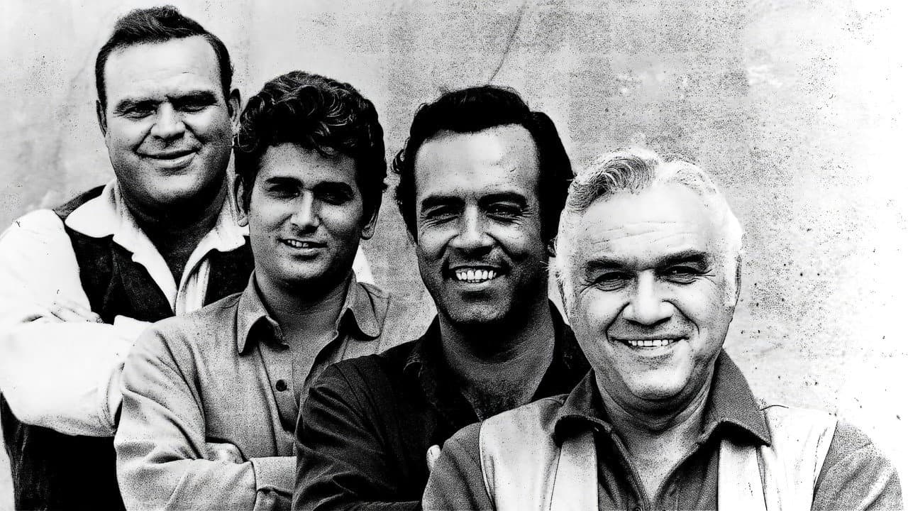 Bonanza — backdrops 2
