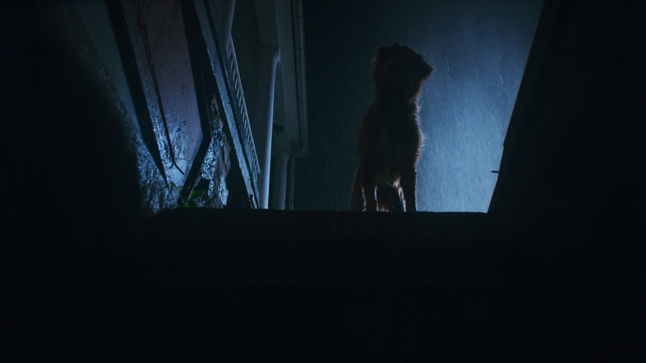 Good Boy — backdrops 7