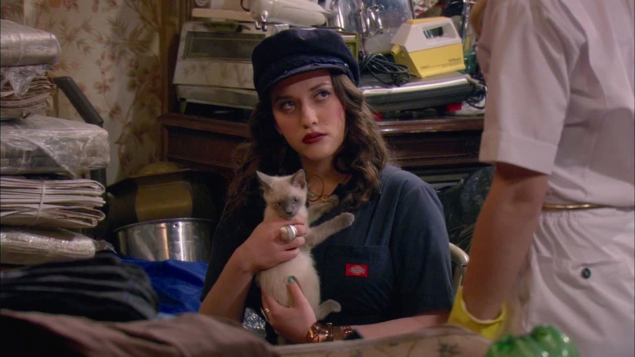 2 Broke Girls — backdrops 4