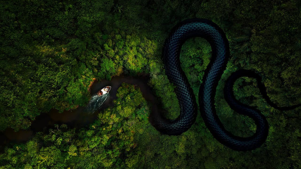 The Mosquito Coast — backdrops 5