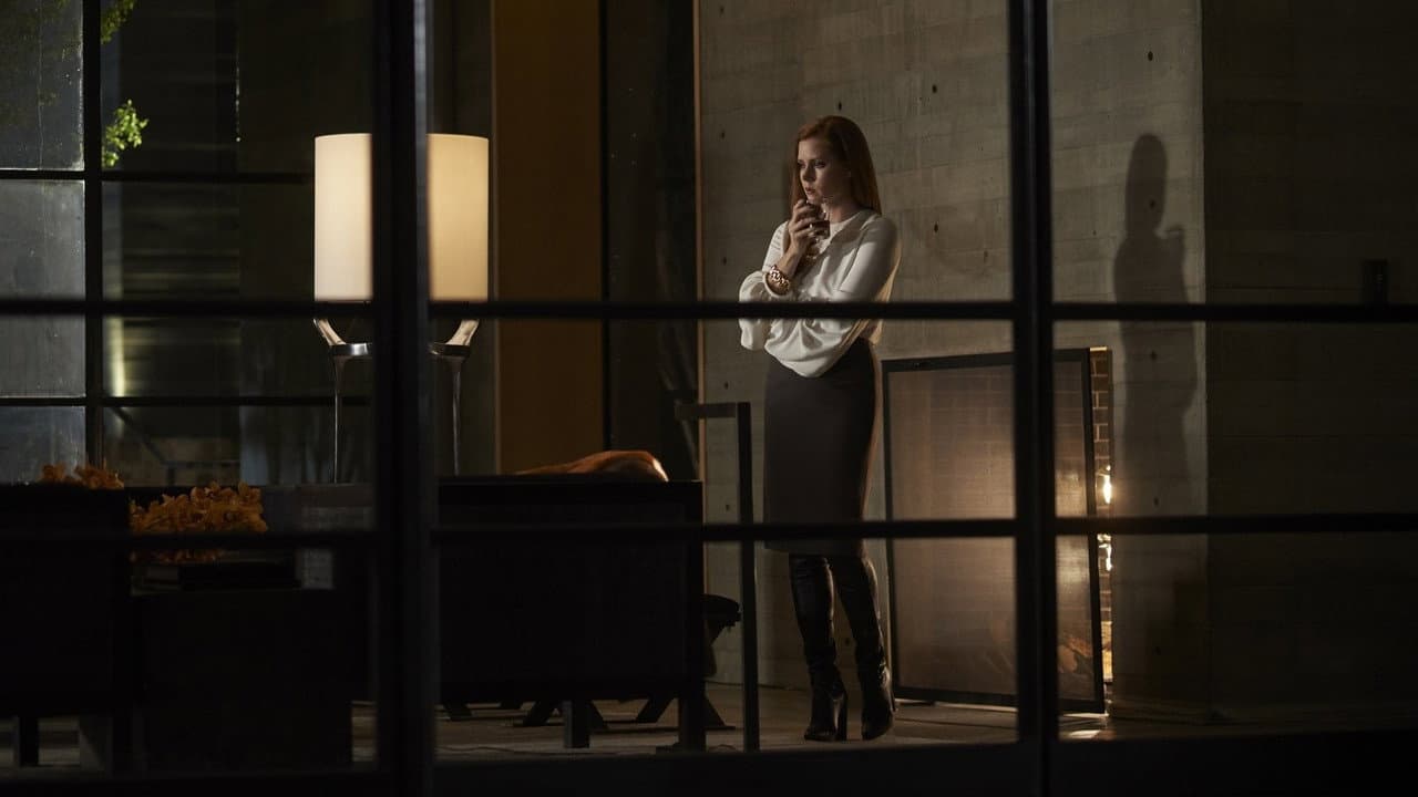 Nocturnal Animals — backdrops 6