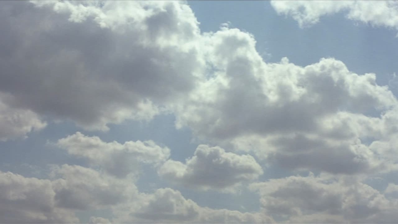 The Straight Story — backdrops 4