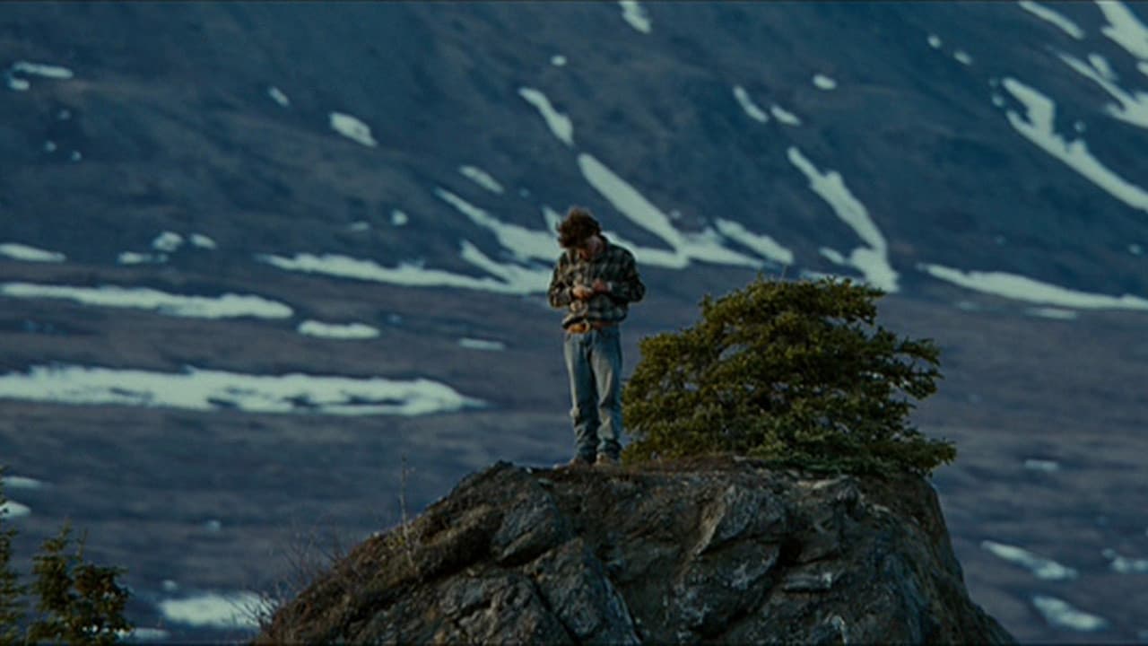 Into the Wild — backdrops 6