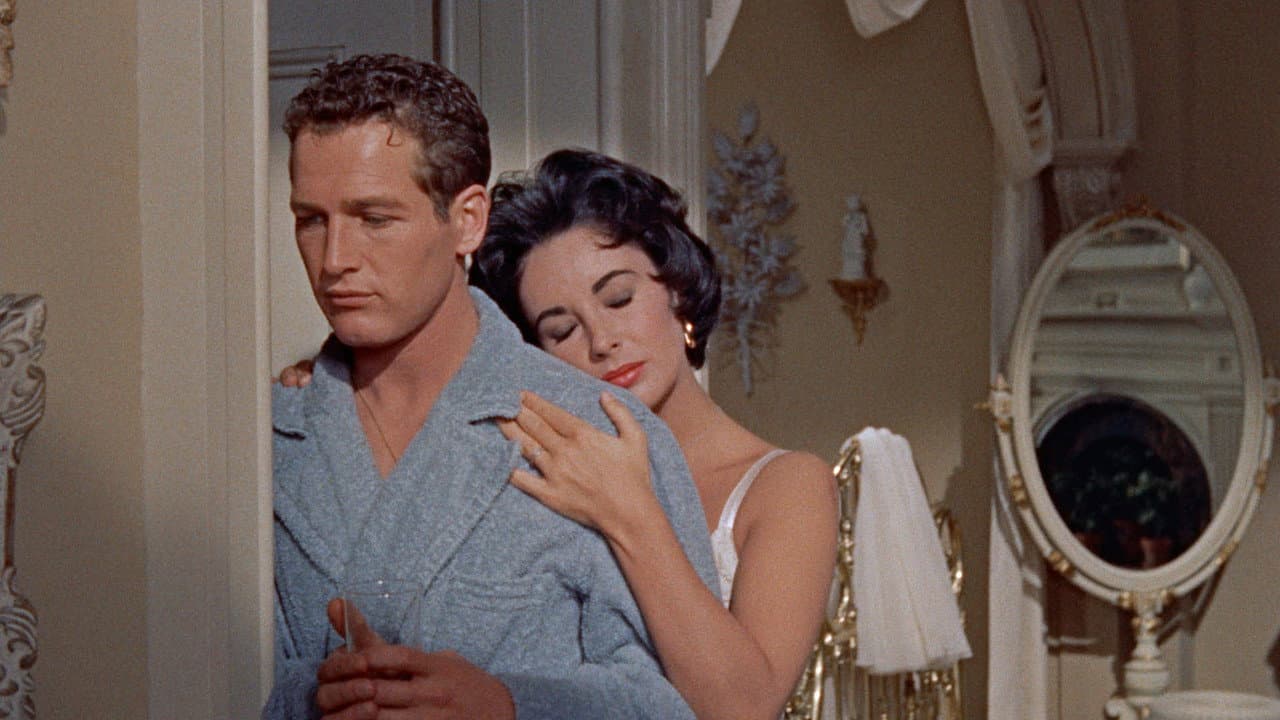 Cat on a Hot Tin Roof — backdrops 6