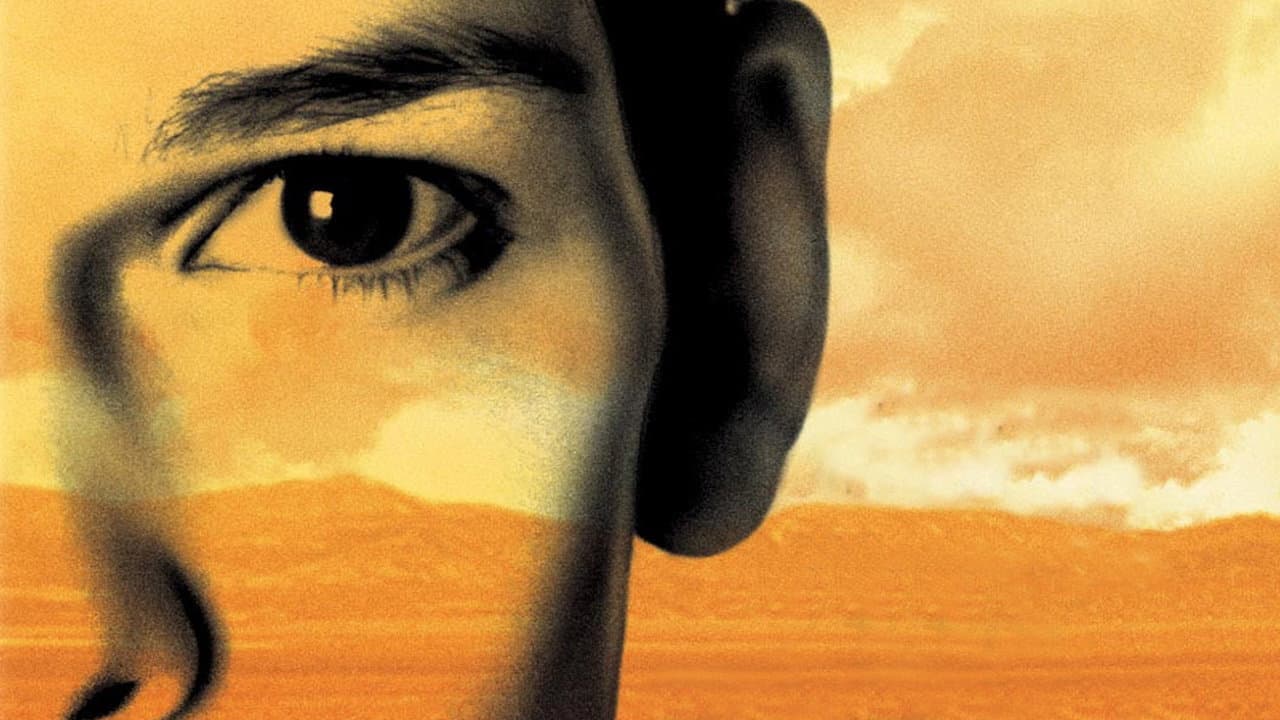 Boys Don't Cry — backdrops 3