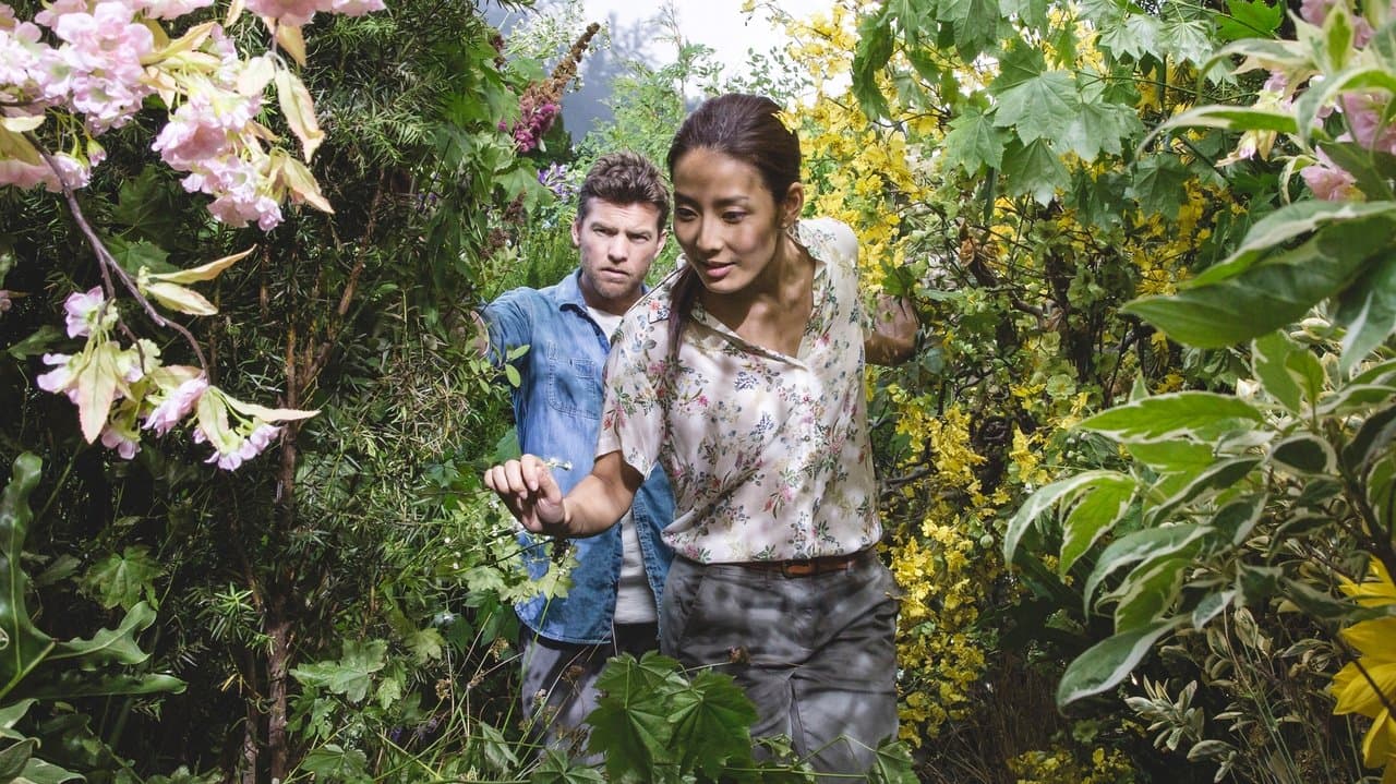 The Shack — backdrops 1