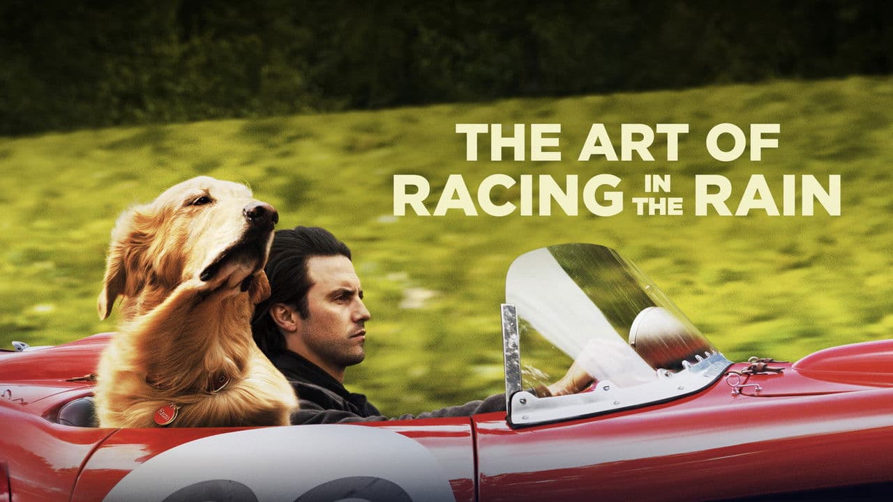 The Art of Racing in the Rain — backdrops with title 1