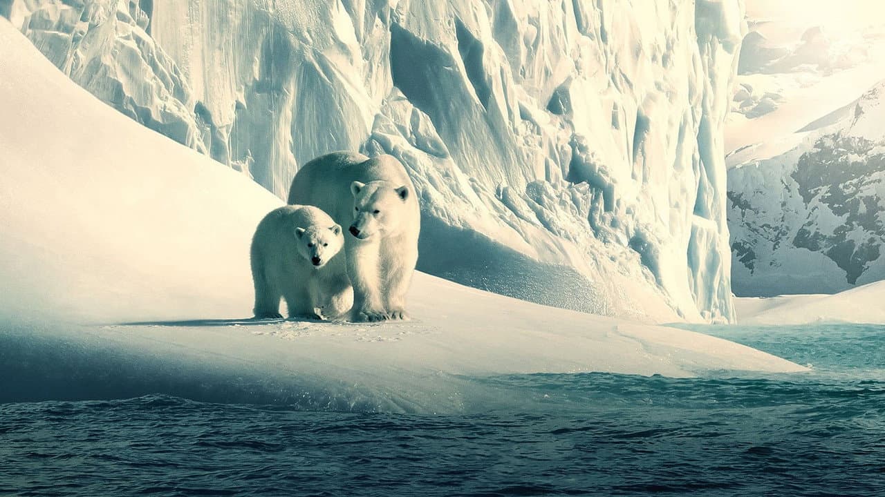 Our Planet — backdrops 2