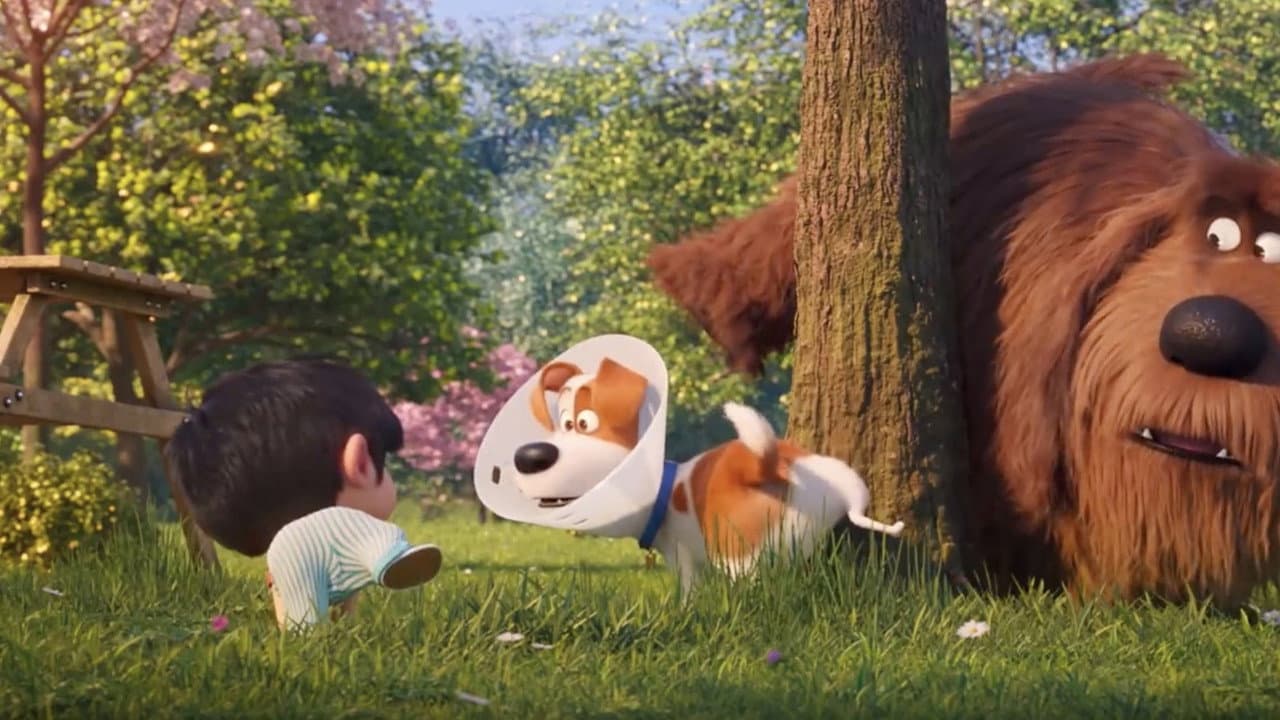 The Secret Life of Pets 2 — backdrops 8
