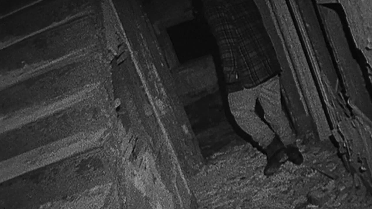 The Blair Witch Project — backdrops 8
