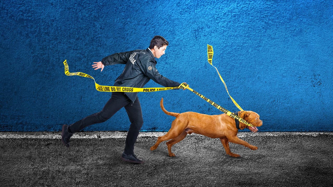 Turner & Hooch — backdrops 3