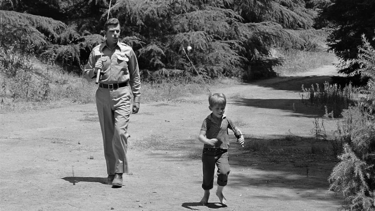 The Andy Griffith Show — backdrops 8