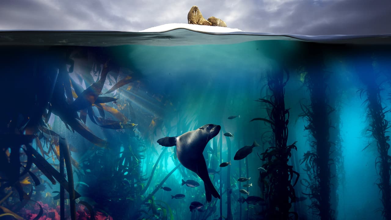 Blue Planet II — backdrops 1