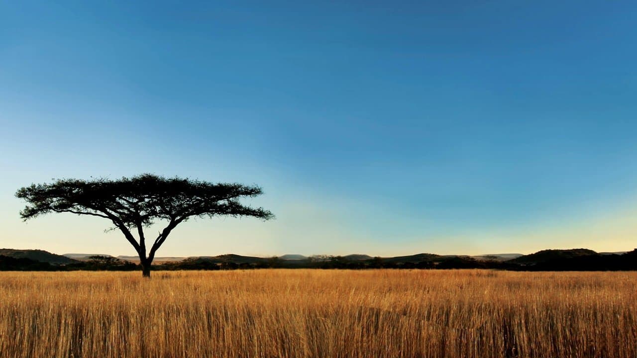 Nature — backdrops 3