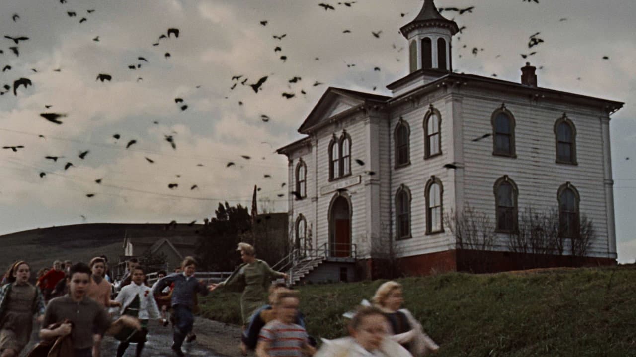 The Birds — backdrops 2
